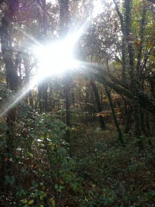 20141118_112744